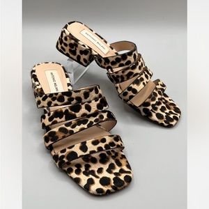 Antonio Melani Cosgrove Mules